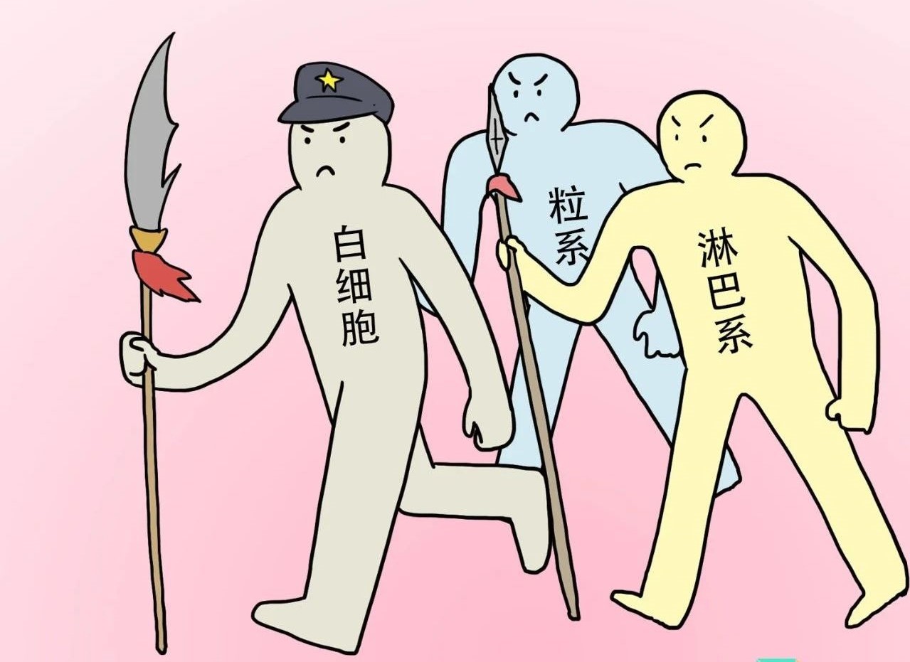 ѪҎ(gu)м^ǽt